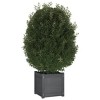 vidaXL Garden Planter Gray 15.7"x15.7"x15.7" Solid Wood Pine - 3 of 4