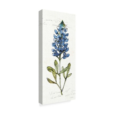 Trademark Fine Art -Anne Tavoletti 'Texas Bluebonnet Iv' Canvas Art
