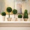 Plum & Post Boxwood Topiaries Faux (Fake) In Pots Set of 5 - 2 of 4