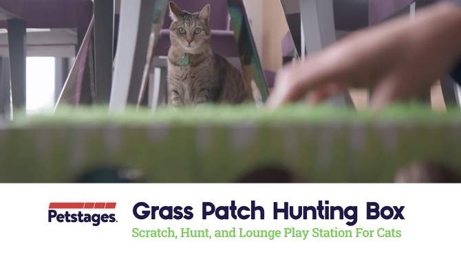 Petstages Grass Patch Hunting Box Cat Scratcher, 2 of 6, play video