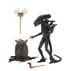 Alien Ultimate 40th Anniversary Big Chap 7" Action Figure - 3 of 3