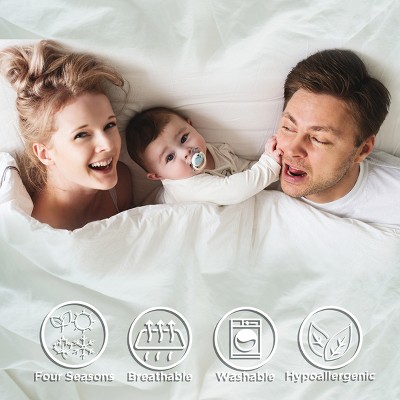 Patriotic Americana Twin Microfiber Quilt Set in Red, White, and Blue