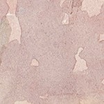 luster gray