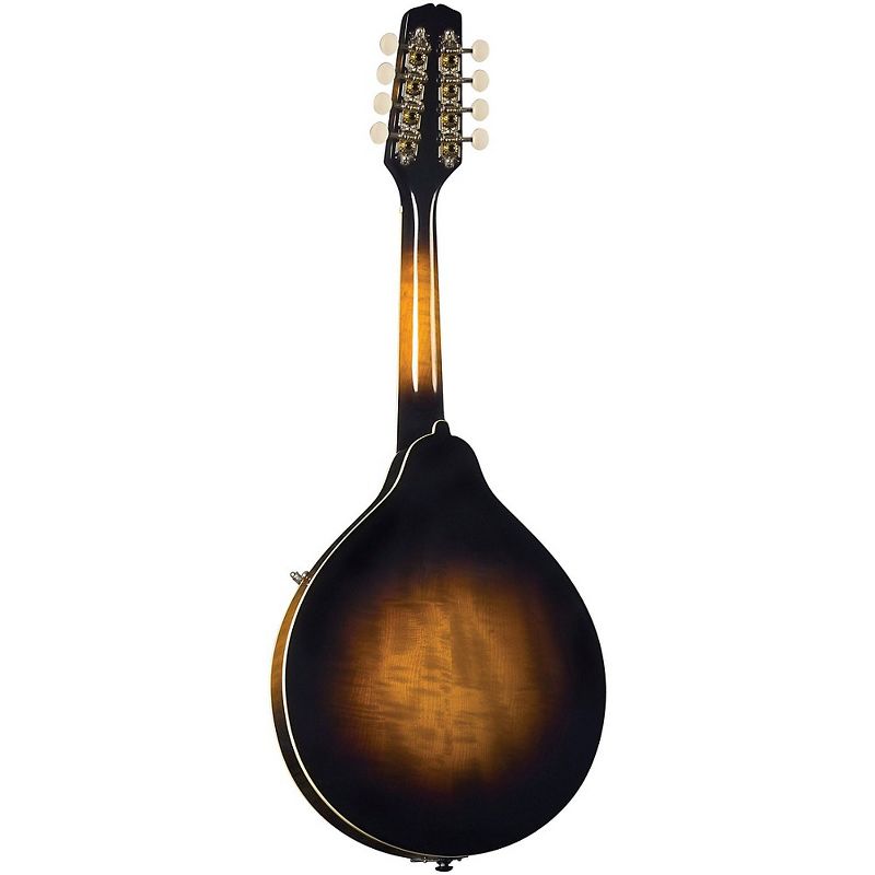 Kentucky KM-250 Artist A-Model Mandolin Vintage Sunburst, 2 of 3
