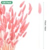 Unique Bargains Artificial Dried Flowers Realistic Look Pampas Bunny Tails Grass 17 Inch - 3 of 4