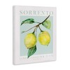Stupell Industries Sorrento Lemon Branch Canvas Wall Art - 3 of 4