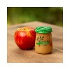 Beech-Nut Non-GMO Naturals Apples Baby Food Jar - 4oz - 2 of 4