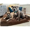 Big Barker 7" Orthopedic Dog Bed - Sofa Edition - 3 of 4