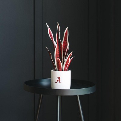 Eternal Green 18'' Faux Snake Plant in Plastic Pot