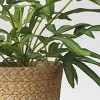 Large Artificial Fern Leaf Basket in Pot - Threshold™ - image 3 of 4