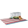 Prevue Pet Products Home On-The-Go Dog Crate, X-Small, 24"L x 16.50"W x 20"H - 2 of 4