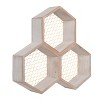 Transpac Wood 13.75 in. Brown Spring Honey Comb Shelf Decor - 2 of 4