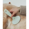Dexypaws: Pet Slicker Brush - Large - Sage Green, Dog & Cat Grooming Tool - 3 of 4