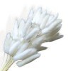 Alilang Natural Pampas Grass and Bunny Tail Dried Floral Arrangement, 17.5 Inches - Gray - 3 of 4
