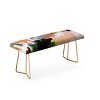Marta Barragan Camarasa Abstract Colors Nature Bench - Deny Designs - 2 of 4