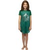 Harry Potter Girls Foil Print Hogwarts Raglan Nightgown - 2 of 4