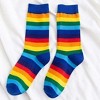 Rainbow Striped Pattern Socks from the Sock Panda (Women's Sizes, Adult Medium) - 3 of 3