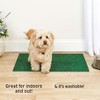 Drymate Drymate Potty Pad Green Grass - 2 of 4