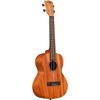 Kala Learn To Play Tenor Ukulele Starter Kit - 4 of 4