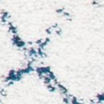 ivory/navy