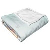 Disney Winnie the Pooh Autumn Happiness Silk Touch Throw Blanket 50x60 Inches - 3 of 4