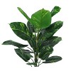 NicBex Artificial Tree Artificial Plant 54" Tall Artificial Dieffenbachia Tree with Black Pot, Room Decor for Home Office Foyer Porch - 2 of 4