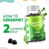 Moringa 100mg (50:1 Extract), Natural Mixed Fruit Flavor, 60 Gummies - 3 of 4