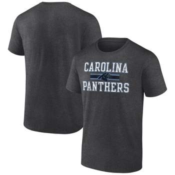 NFL Carolina Panthers Men's Team Striping Gray Short Sleeve Bi-Blend T-Shirt
