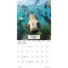 Trends International 2026 Ocean Life 12"x12" Wall Calendar - 2 of 4