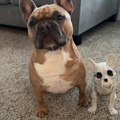 Guest review image 1 of 1, zoom in