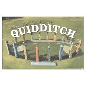 Trends International The Wizarding World: Harry Potter - Witness Quidditch Framed Wall Poster Prints - 1 of 4