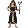 HalloweenCostumes.com Pharaoh Costume for Boy's - 2 of 3