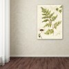 Trademark Fine Art -Lisa Audit 'Ivies and Ferns I' Canvas Art - 3 of 3