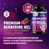 Premium Berberine HCL 1200mg Supplement - Berberine HCI Capsules High Absorption Supplement for Heart Health & Immune Support - 120 Capsules - 2 of 4