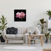 Stupell Industries Blooming Rose on Black, 24" x 24" - 2 of 4