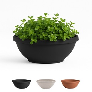Bloem Terra 12" Diameter Resin Planter Bowl with Optional Knockout Drainage for Indoor and Outdoor Gardening - 1 of 4
