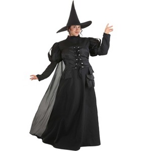 HalloweenCostumes.com Deluxe Plus Size Wayward Witch Costume | Classic Witch Black Dress and Pointy Hat - 1 of 4