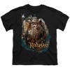 Boys' Short Sleeve the Hobbit Radagast the Brown T-Shirt - 2 of 4