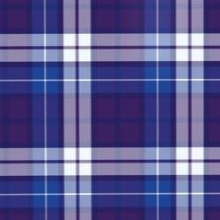 dark purple plaid