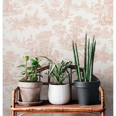 Blush Pink Vinyl Peel and Stick Wallpaper with French Countryside Design