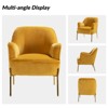 Odo Upholstered Accent Chair Velvet Comfy Living Room  Arm Chair | Karat Home - 4 of 4
