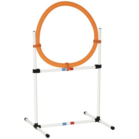 How Big Is A Dog Agility Ring