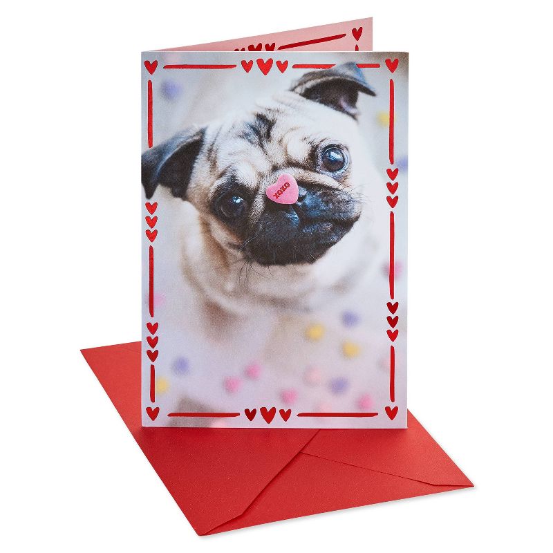 Valentine&#39;s Day Card Pug with Candy Heart, 1 of 7