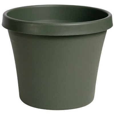 Bloem Terrapot 17.2 in. H Resin Traditional Planter Thyme Green