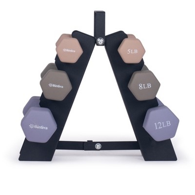 Bintiva Earthtone Dumbbell Set with Rack