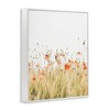 Stupell Industries Poppy Field Photography, 24" x 30" - 3 of 4