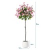 6ft Artificial Bougainvillea Tree with White Planter – Realistic Faux Flowering Tree, Maintenance-Free – for Living Room, Entryway & Covered Porch - 3 of 4