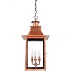 Quoizel Lighting Chalmers 3 - Light Pendant in  Aged Copper - 4 of 4