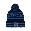 Harry Potter Adult Hogwarts Collegiate Knit Winter Cuff Beanie Hat and Scarf Set - 2 of 4
