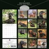 The Gifted Stationery 2025 Square Wall Calendar, Dachshund, 16-Month Paw Prints Theme with 180 Reminder Stickers (12 x 12 In) - 4 of 4